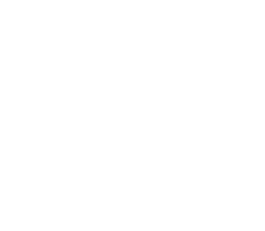 exa foundation logo white